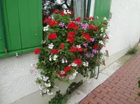 DSC03469.webp