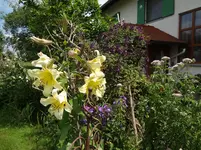 DSC03499.webp