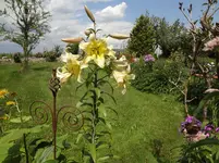 DSC03501.webp