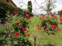DSC03502.webp