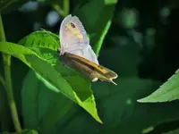 DSCF1680 (3).webp