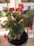 DSCN8125.JPG