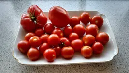 IMG_20180713_093856422_HDR.webp