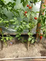 P1110232.webp