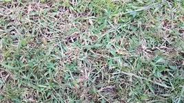 20180715_205949.webp 20180715_205949.webp