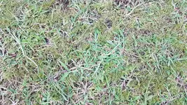 20180715_210012.webp 20180715_210012.webp