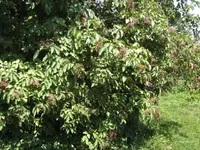 BILD0197.webp