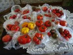 DSC00151.jpg