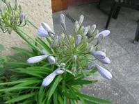 IMG_6291.webp