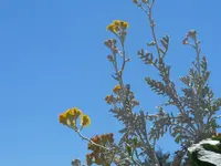 SAM_0865.jpg