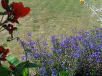 HSAM_0913.webp
