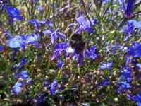 HSAM_0935.webp
