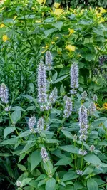IMG_20180709_200544943_HDR.webp