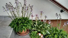 IMG_20180715_172311708_HDR.webp