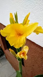 IMG_20180715_172714566.webp