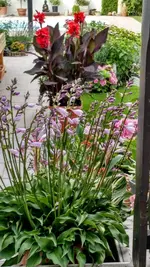 IMG_20180715_183513772_HDR.webp