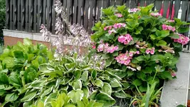 IMG_20180715_172601257.webp