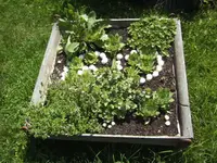 BILD0215.webp
