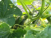 IMG_20180716_190857.webp
