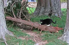 IMG_9331v (2).webp