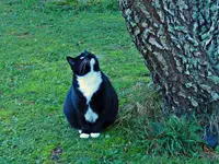 IMG_9598V (2).webp