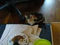 IMGP6462.webp