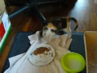 IMGP6464.webp