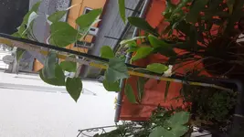 20180717_194108.webp