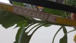 20180717_194101.webp