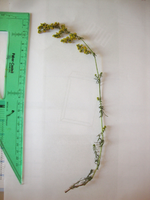 DSC04279.webp