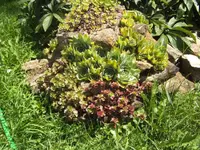 BILD0216.webp
