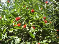 BILD0203.webp