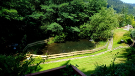 2018-07-17_11-07-49-1.webp