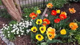 20180423_162807.webp