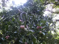 BILD0273.webp