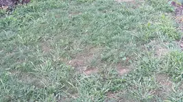 20180719_202337.webp