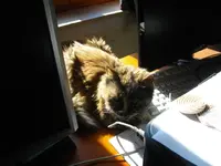 IMGP6465.webp