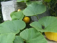 BILD0257.webp