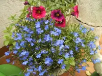BILD0269.webp