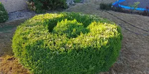 20180719_070236.webp