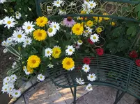 DSC03505.webp