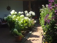 DSC03509.webp