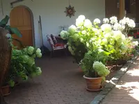 DSC03510.webp
