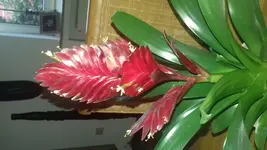 15321126352711160515643.webp