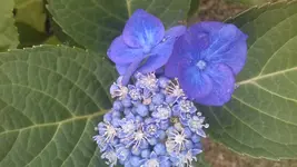 20180721_095254.webp