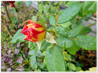 Aufatmen 13.webp
