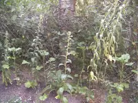 BILD0312.webp
