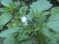 BILD0283.webp