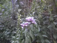 BILD0314.webp