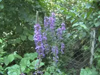 BILD0308.webp